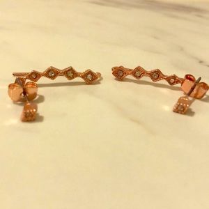 FabFitFun Rose Gold Ear Crawler and Stud Set